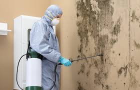 Best Commercial Mold Inspection  in Monte Sereno, CA